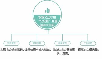 微信农业品牌运营发展报告 你的公众号为啥没人关注？——从0到1的品牌营销企划实战指南