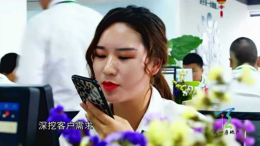海南天一房地产营销策划企业宣传片