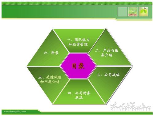 忆森花卉营销策划案ppt